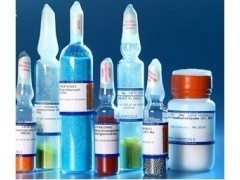 β-谷甾醇的生物活性與應用前景——從實驗室試劑到健康領域的關鍵角色