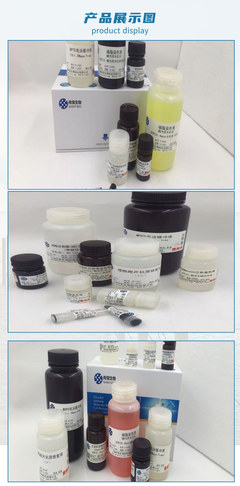 線粒體DNA提取試劑盒 生物試劑中的精密工具與實驗關鍵